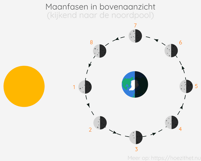 maanfasen bovenaanzicht