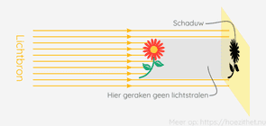 Volgende les: Schaduwvorming 👉